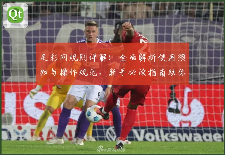 足彩网规则详解：全面解析使用须知与操作规范，新手必读指南助你轻松上手