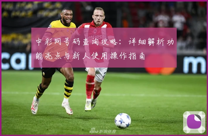 中彩网号码查询攻略：详细解析功能亮点与新人使用操作指南