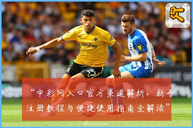 “中彩网入口官方渠道解析，新手注册教程与便捷使用指南全解读”