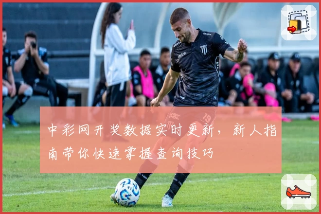 中彩网开奖数据实时更新，新人指南带你快速掌握查询技巧