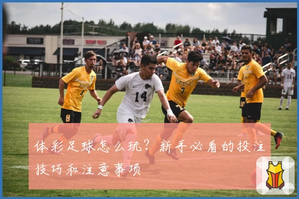 体彩足球怎么玩?新手必看的投注技巧和注意事项