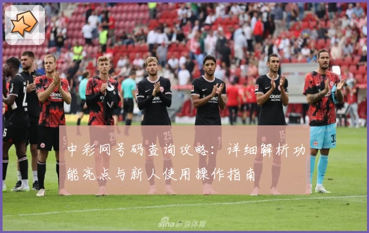 中彩网号码查询攻略：详细解析功能亮点与新人使用操作指南